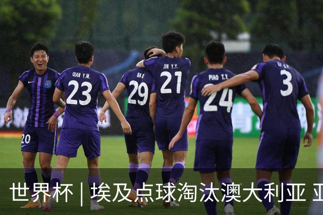 世界杯 | 埃及点球淘汰澳大利亚 亚洲区球队全部出局